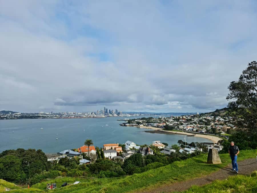 Auckland City Highlights Half Day Tour - Should You Book This Auckland City Highlights Half Day Tour?