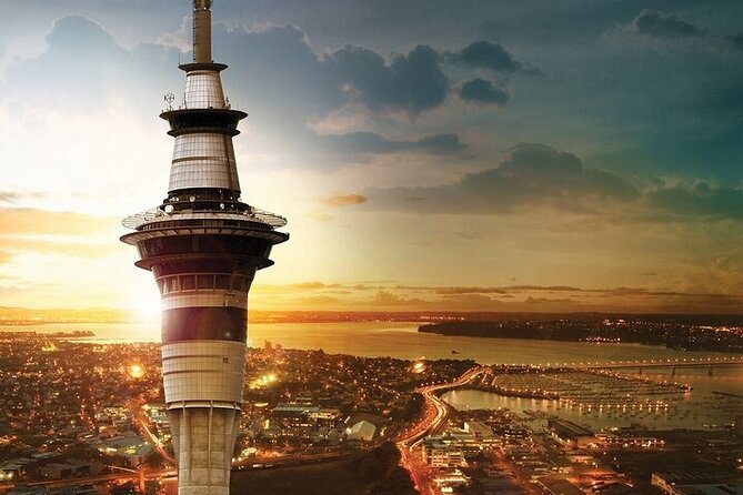 Auckland City Highlights Private Tour - Key Highlights I Think You Should Know Up Front