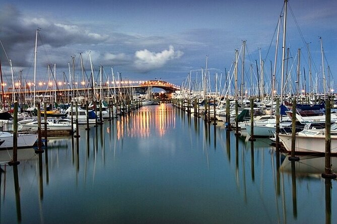 Auckland City Highlights Private Tour - Why This Auckland Highlights Tour Works So Well in Real Life