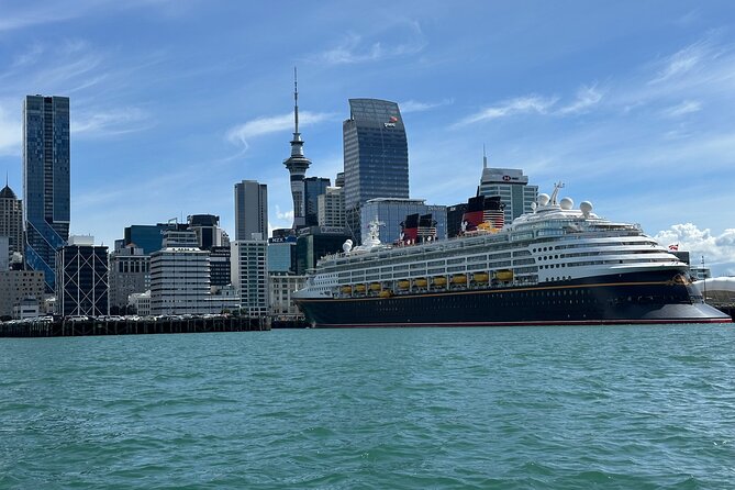 Auckland City Highlights Tour by Car or Van - Green breaks and Auckland’s quieter surprises