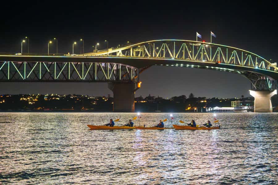 Auckland: City Lights Night Kayak Tour - Key highlights before you go