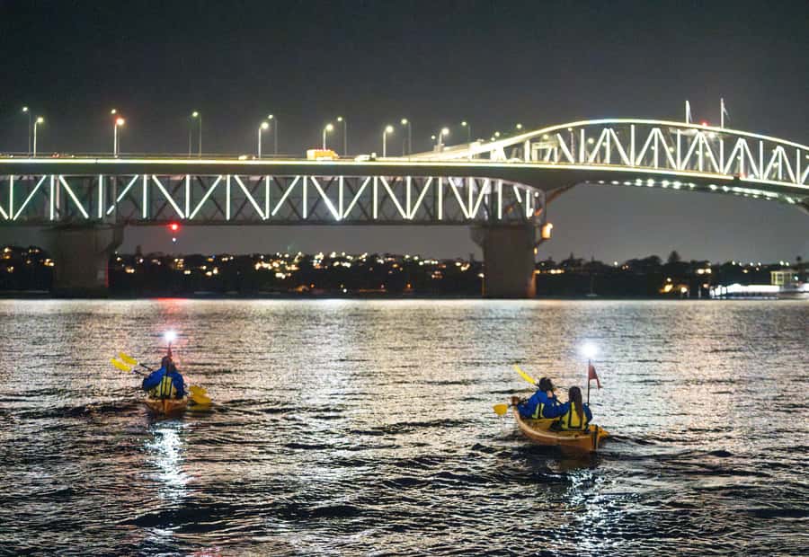 Auckland: City Lights Night Kayak Tour - Paddling Along the Harbour Bridge at Night