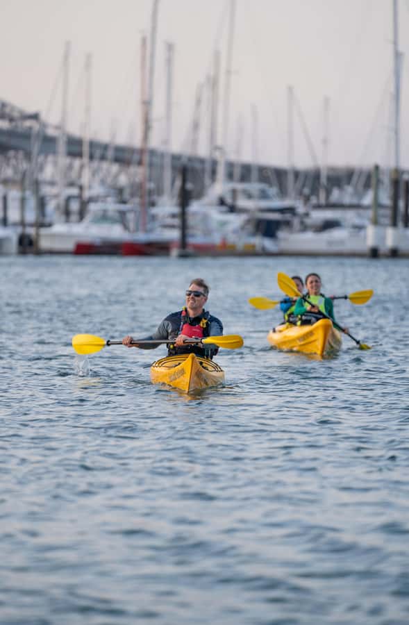 Auckland: City Lights Night Kayak Tour - What the Guides Actually Do for You on the Water