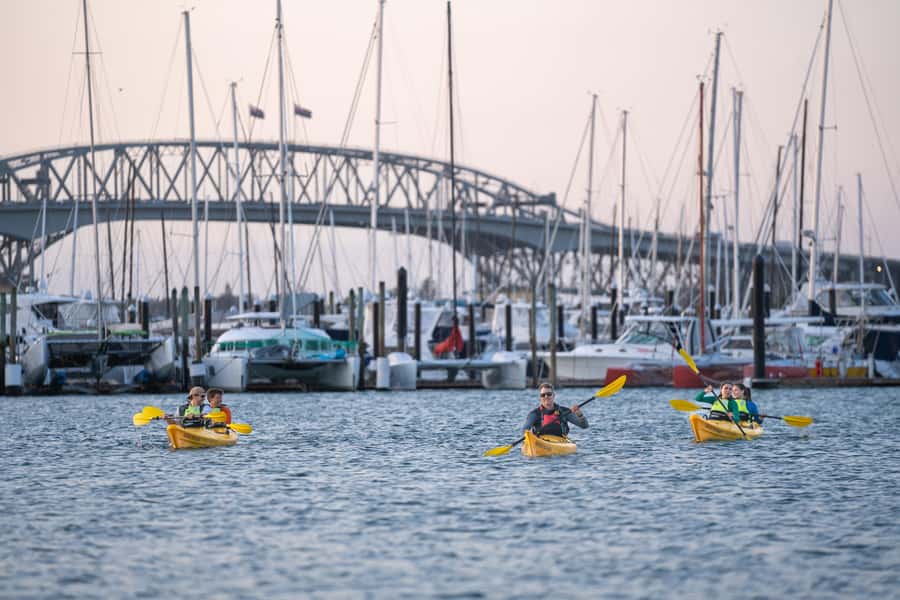 Auckland: City Lights Night Kayak Tour - What to Bring (and What to Leave at Home)