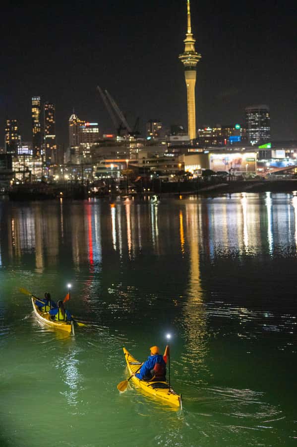 Auckland: City Lights Night Kayak Tour - The Day-to-Night Light Show Over Waitematā Harbour