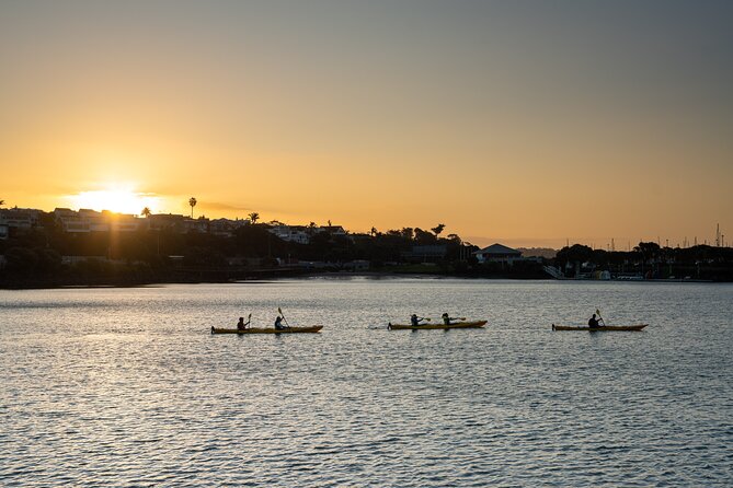 Auckland City Lights Night Kayaking Tour - Wynyard Quarter Views: Waterfront Energy Without the Crowds