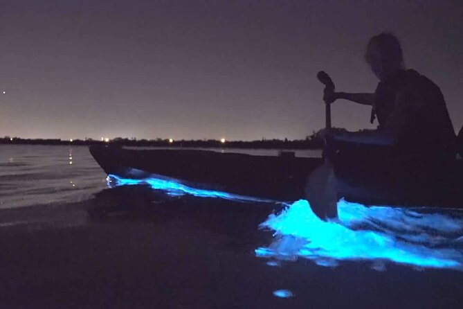 Auckland City Lights Night Kayaking Tour - Price and Value: Why $83.78 Can Make Sense for a 2.5 Hour Night Out