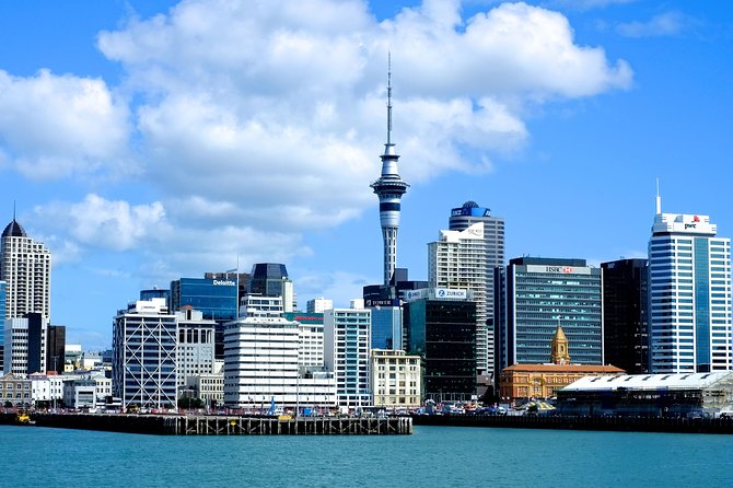 Auckland City & Native Forest Experience - Fully Guided Day Tour - Key things that make this Auckland tour worth your time