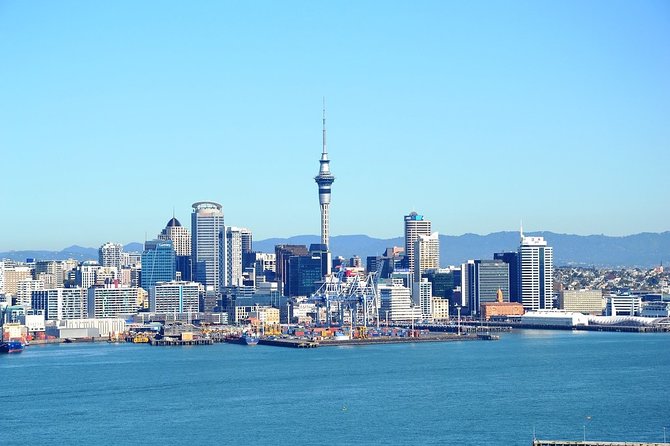 Auckland City & Native Forest Experience - Fully Guided Day Tour - The day starts in Auckland Central, then moves fast