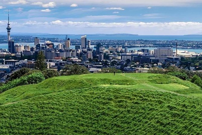 Auckland City Private Tour for Couples. Be chauffeur driven with added extras. - Auckland Museum and Winter Gardens: A Smart Break From Driving