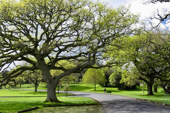 Auckland City Private Tour for Couples. Be chauffeur driven with added extras. - Bastion Point: Harbour Views and Māori Heritage at a Quiet Pace