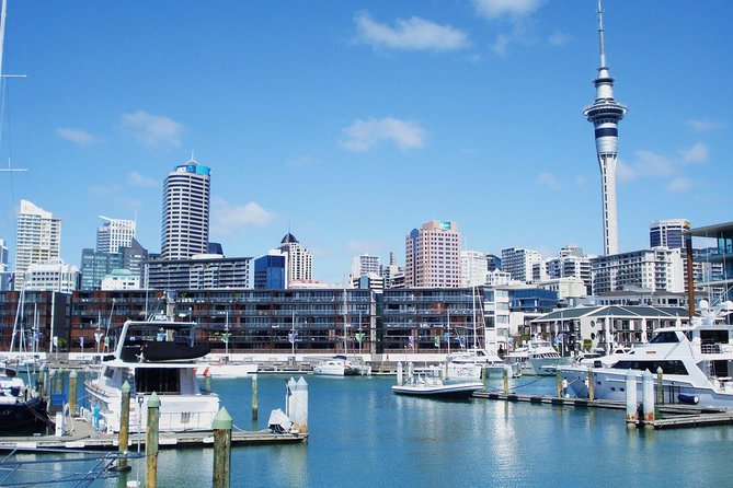 Auckland City Private Tour for Couples. Be chauffeur driven with added extras. - Parnell Roses, Downtown Drives, and Mission Bay Time to Unwind