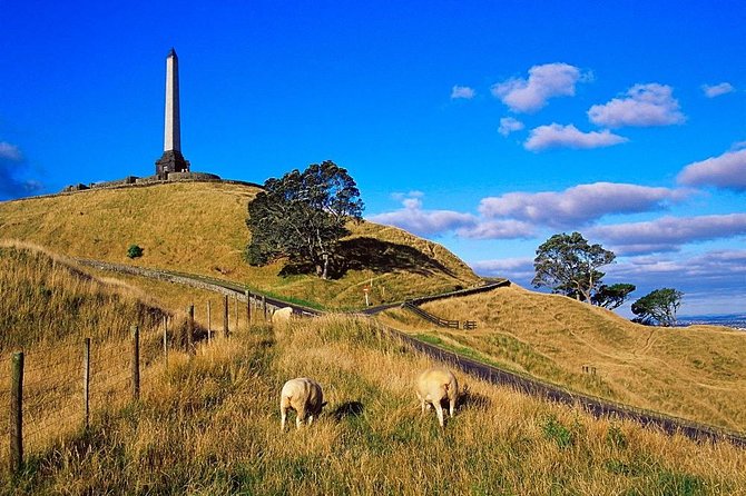 Auckland City Private Tour for Couples. Be chauffeur driven with added extras. - Pickup, Vehicle Comfort, and the Little Things That Actually Matter