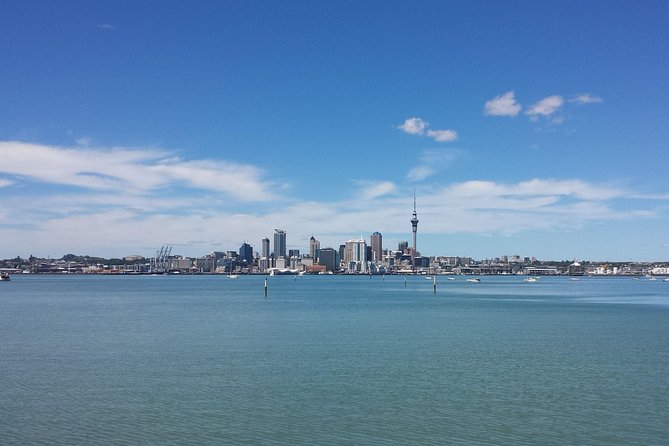 Auckland City Small-Group Morning Discovery Tour - Price and value: what $65.16 gets you in real terms
