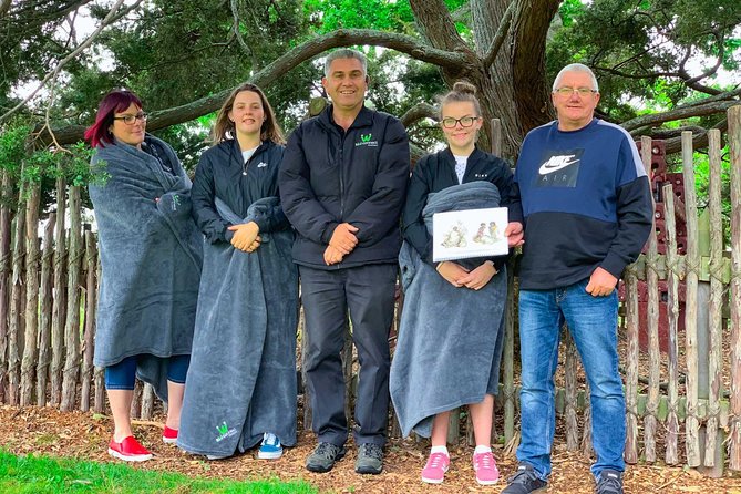 Auckland City Volcano & Scenic Highlights Tour - Price and logistics, value for a private-style half day