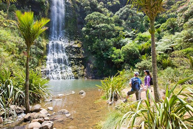 Auckland City & West Coast Luxury Tour - Black and Golden Sand Beach Time, and How to Enjoy It