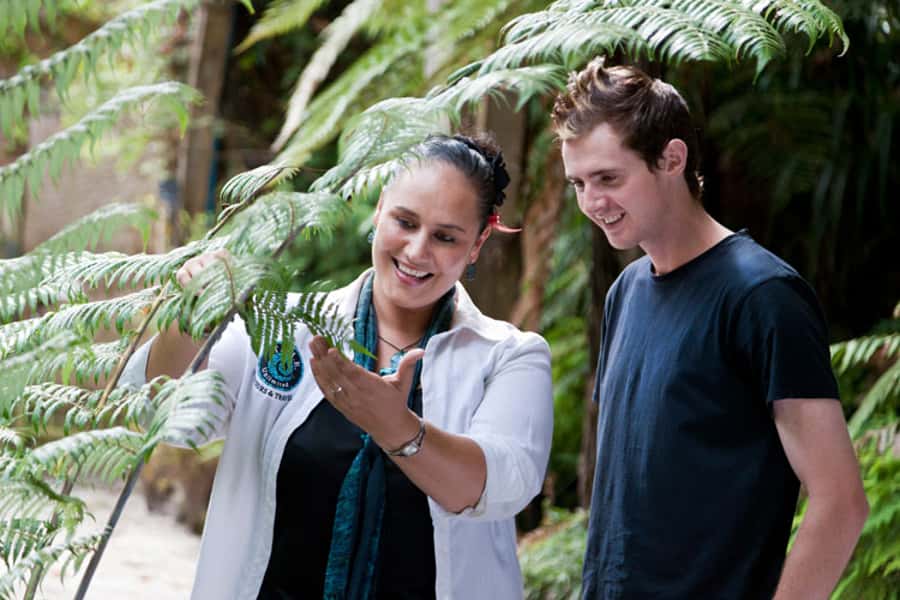 Auckland City & West Coast Luxury Tour - Hauraki Gulf and Rangitoto Island Views, Plus Volcano Country Energy