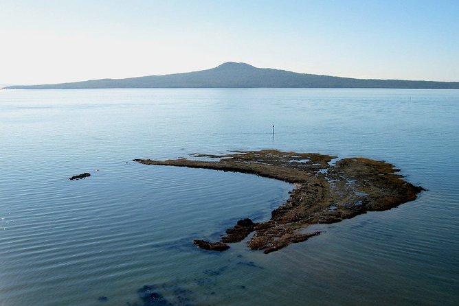 Auckland Coastal Experience - Small Group City & Beach Tour Incl. Wine Tasting - Auckland Coastline in One Day, Minus the Guesswork