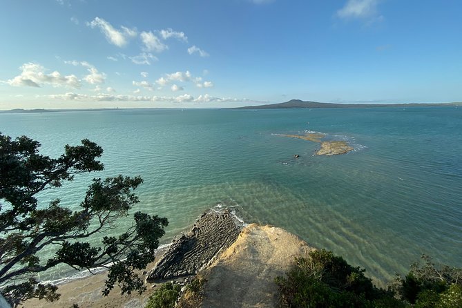 Auckland Coastal Experience - Small Group City & Beach Tour Incl. Wine Tasting - Pickup and Getting Around: an Air-Conditioned Minibus, Not a Bus Herd