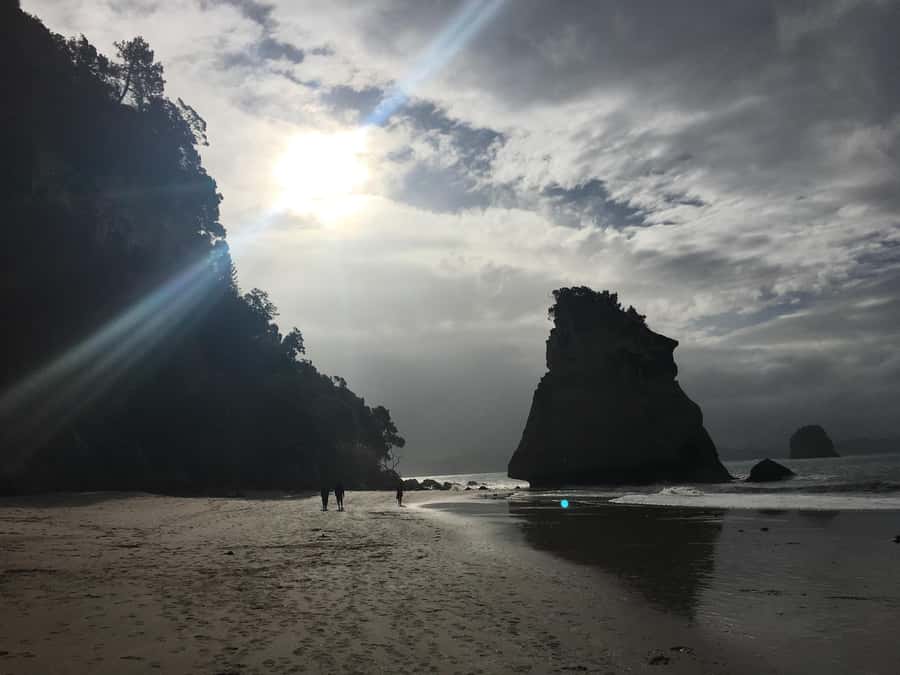 Auckland: Coromandel Day Tour including Hot Water Beach - Key points worth getting excited about