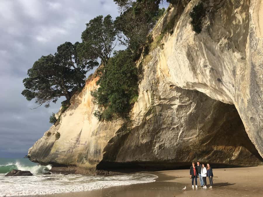 Auckland: Coromandel Day Tour including Hot Water Beach - The Auckland to Coromandel drive that keeps you moving, not lost