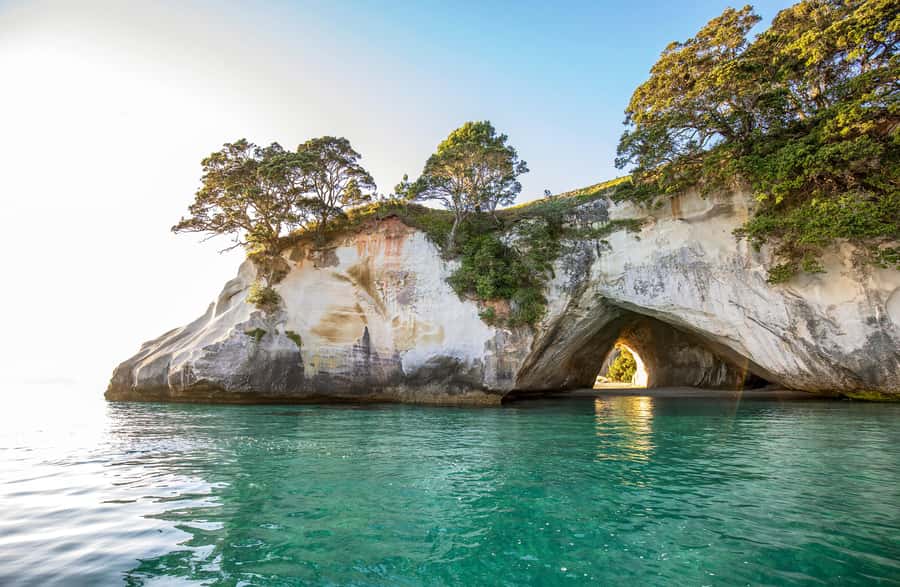 Auckland: Coromandel Driving Creek & Cathedral Cove Day Tour - Key highlights at a glance