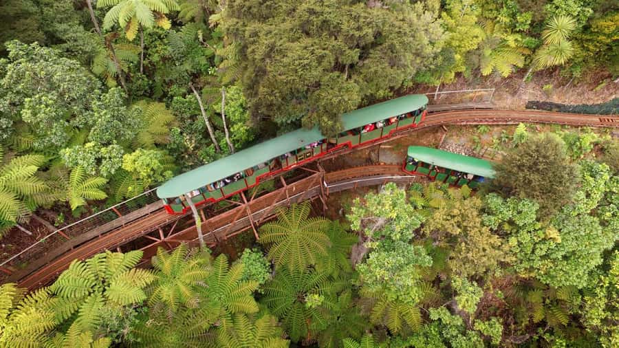 Auckland: Coromandel Driving Creek & Cathedral Cove Day Tour - Driving Creek Railway: engineering meets local art in the forest