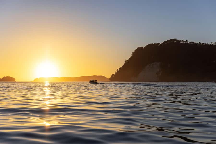 Auckland: Coromandel Driving Creek & Cathedral Cove Day Tour - The value of the boat ride to Cathedral Cove area