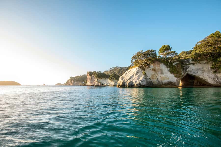 Auckland: Coromandel Driving Creek & Cathedral Cove Day Tour - What you’re really paying for at $298 per person