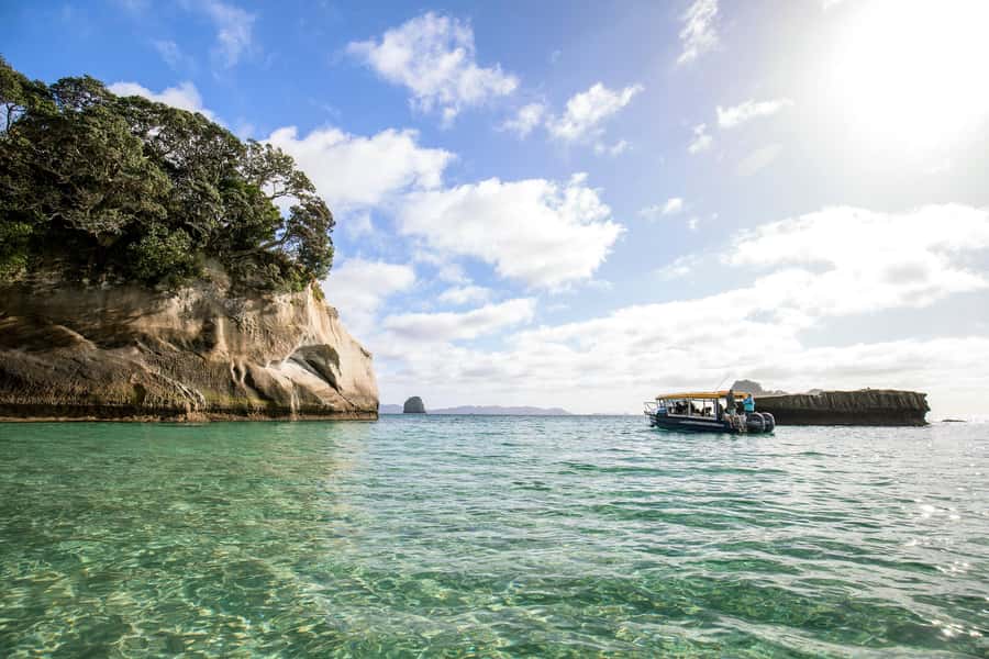 Auckland: Coromandel Driving Creek & Cathedral Cove Day Tour - The guide factor: when a good storyteller improves the whole day