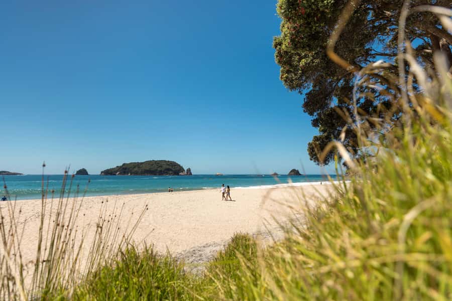 Auckland: Coromandel Driving Creek & Cathedral Cove Day Tour - Practical advice for a smooth day (so you enjoy it more)