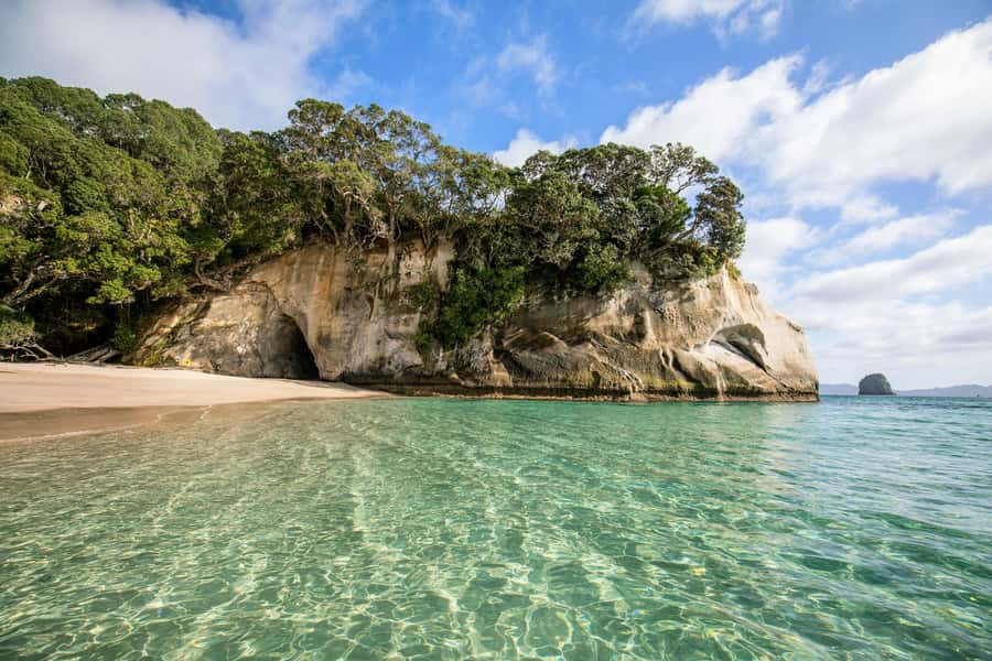 Auckland: Coromandel Driving Creek & Cathedral Cove Day Tour - Coromandel Town stop: time for art, cafes, and a quick reset