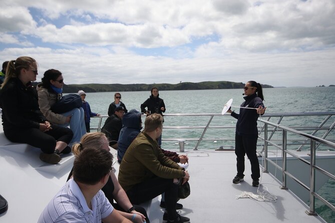 Auckland Dolphin and Whale Watching Eco-Safari Cruise - Weather, sea state, and comfort tips that actually help