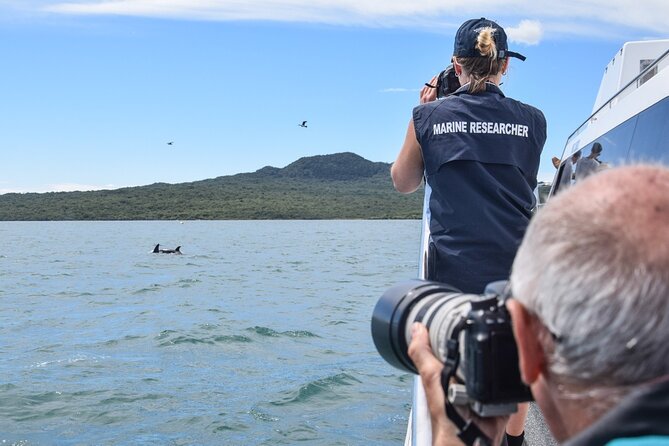 Auckland Dolphin and Whale Watching Eco-Safari Cruise - Who should book this eco cruise, and who should be cautious