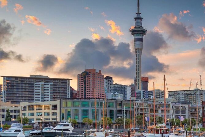 Auckland Downtown Hotel Transfers to/from Cruise Ship in Minivan - The part that really drives the value: communication and punctuality