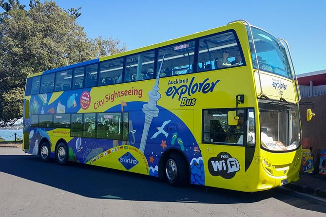 Auckland Explorer: Sightseeing Hop-on Hop-off Tour - Why this hop-on loop is the smartest first move in Auckland