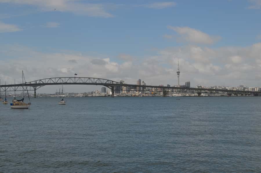 Auckland: Full-Day City Highlights Tour - A small-group Auckland day with photo-friendly pacing