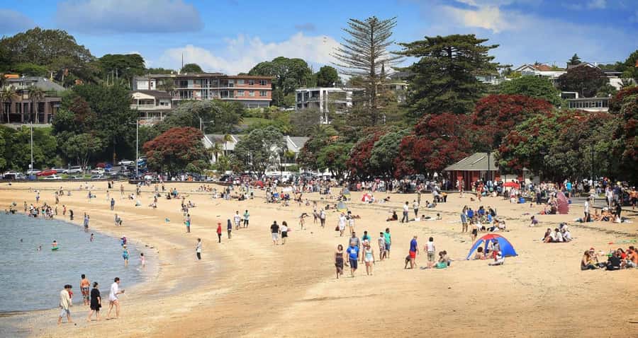 Auckland: Full-Day City Tour - Mt Eden: the short walk that gives you the big picture