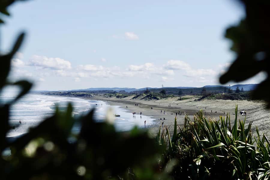 Auckland: Group Surfing Lesson with Muriwai Surf School - Price and value: is $41 a good deal?