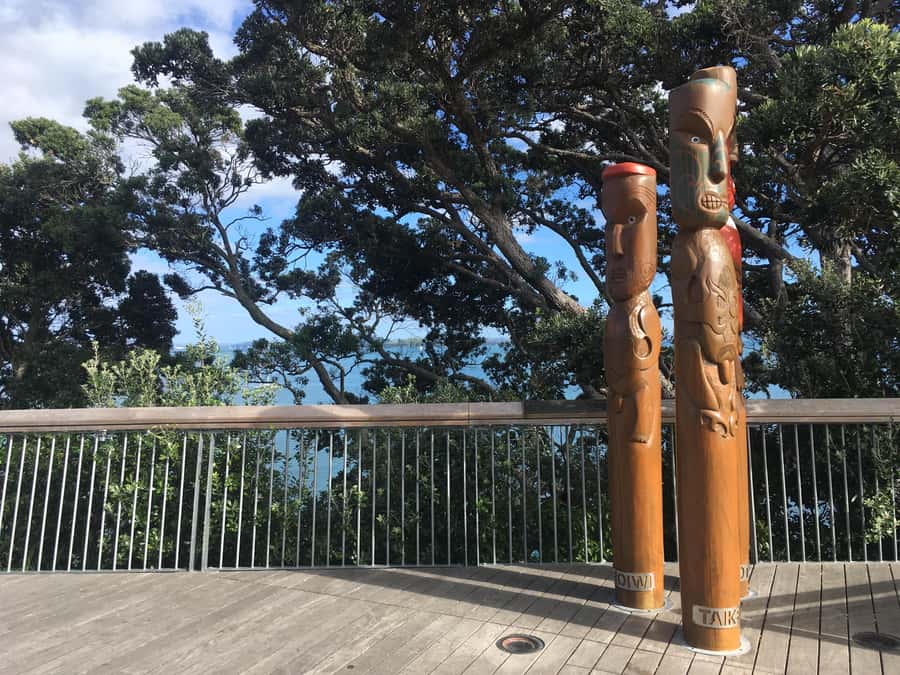 Auckland: Half-Day Auckland Volcanoes Tour - Achilles Point, then Out Into the Suburbs