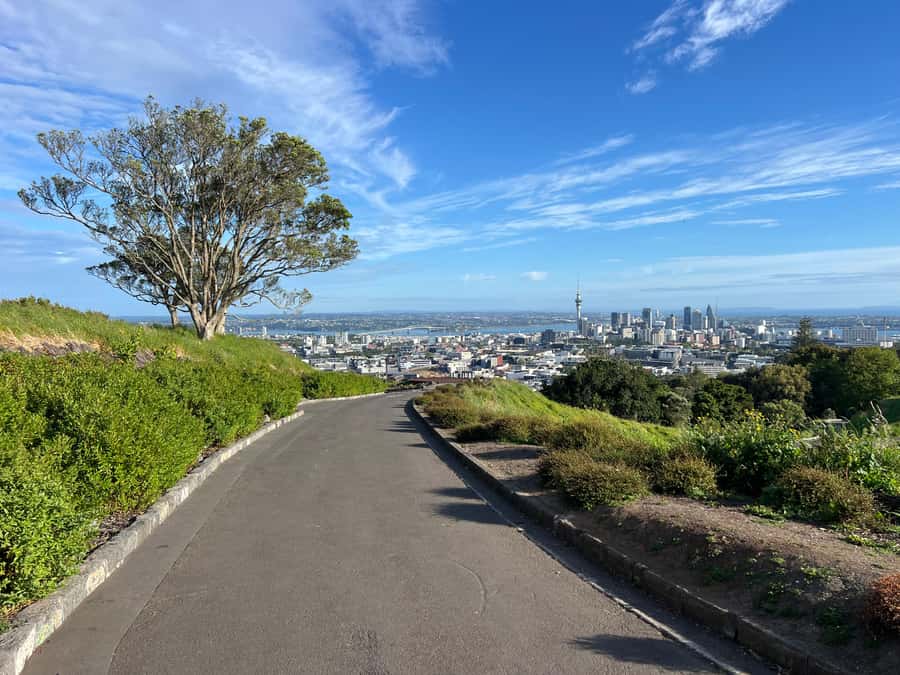 AUCKLAND: Half-Day CITY HIGHLIGHTS TOUR - Mt.Eden, Tamaki Dr - How This 3-Hour Auckland Tour Packs City and Coast Together