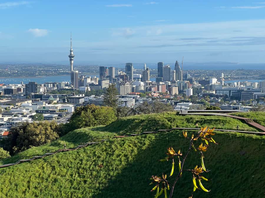 AUCKLAND: Half-Day CITY HIGHLIGHTS TOUR - Mt.Eden, Tamaki Dr - Auckland CBD to Sky Tower: Getting Oriented Fast From the Car