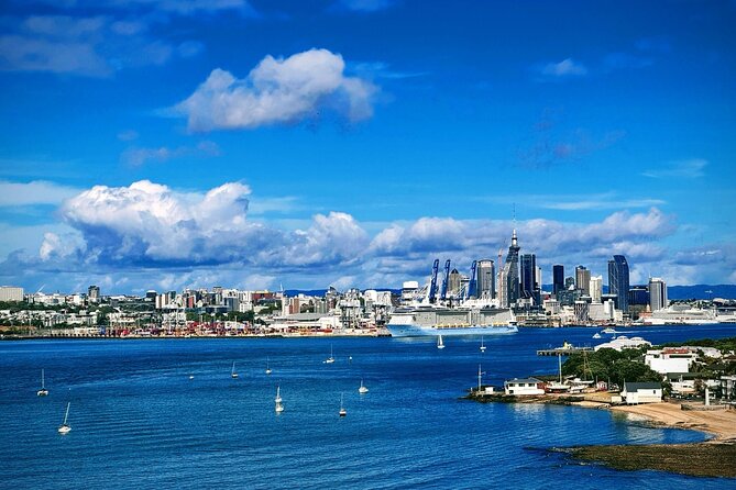 Auckland Half Day City Tour - Heart of Auckland - Key highlights to know before you go