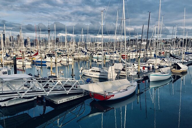 Auckland Half Day City Tour - Heart of Auckland - Price and what $99.29 really covers