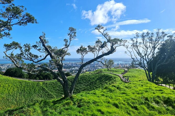 Auckland Half Day City Tour - Heart of Auckland - Holy Trinity Cathedral and St Mary Church, Pacific-Gothic beauty in the middle of the city