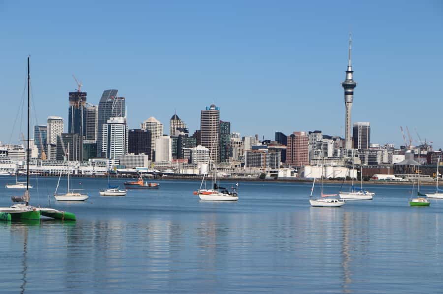 Auckland: Half-Day Scenic Sightseeing Tour - Why This Half-Day Auckland Tour Works So Well