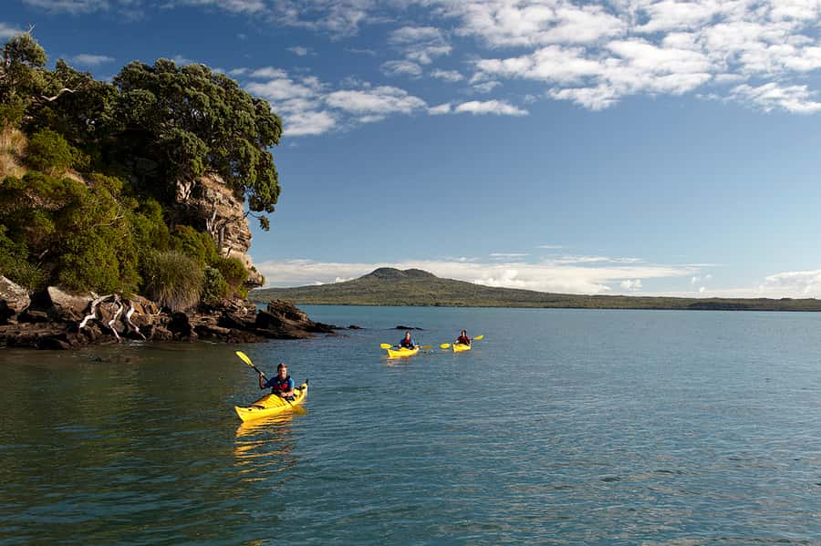Auckland: Half-Day Sea Kayak Tour to Motukorea Island - Key things that make Motukorea feel worth the trip