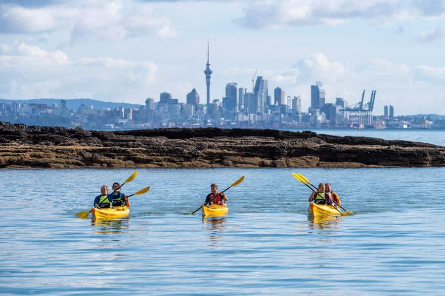 Auckland: Half-Day Sea Kayak Tour to Motukorea Island - From St Heliers to Motukorea: the gulf part starts immediately