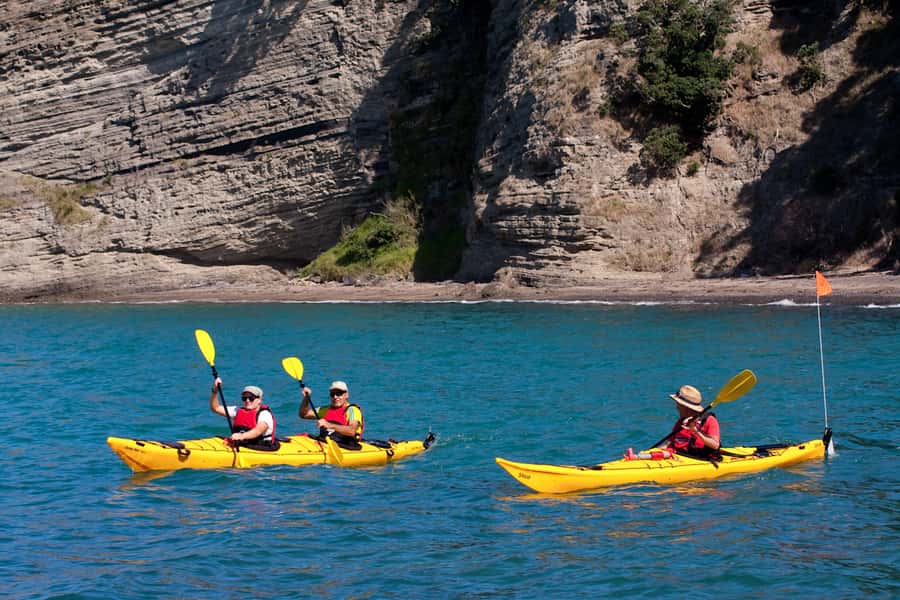 Auckland: Half-Day Sea Kayak Tour to Motukorea Island - The paddle across the Hauraki Gulf: what you are really seeing