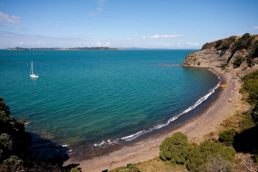 Auckland: Half-Day Sea Kayak Tour to Motukorea Island - Sea kayak setup and coaching that actually helps